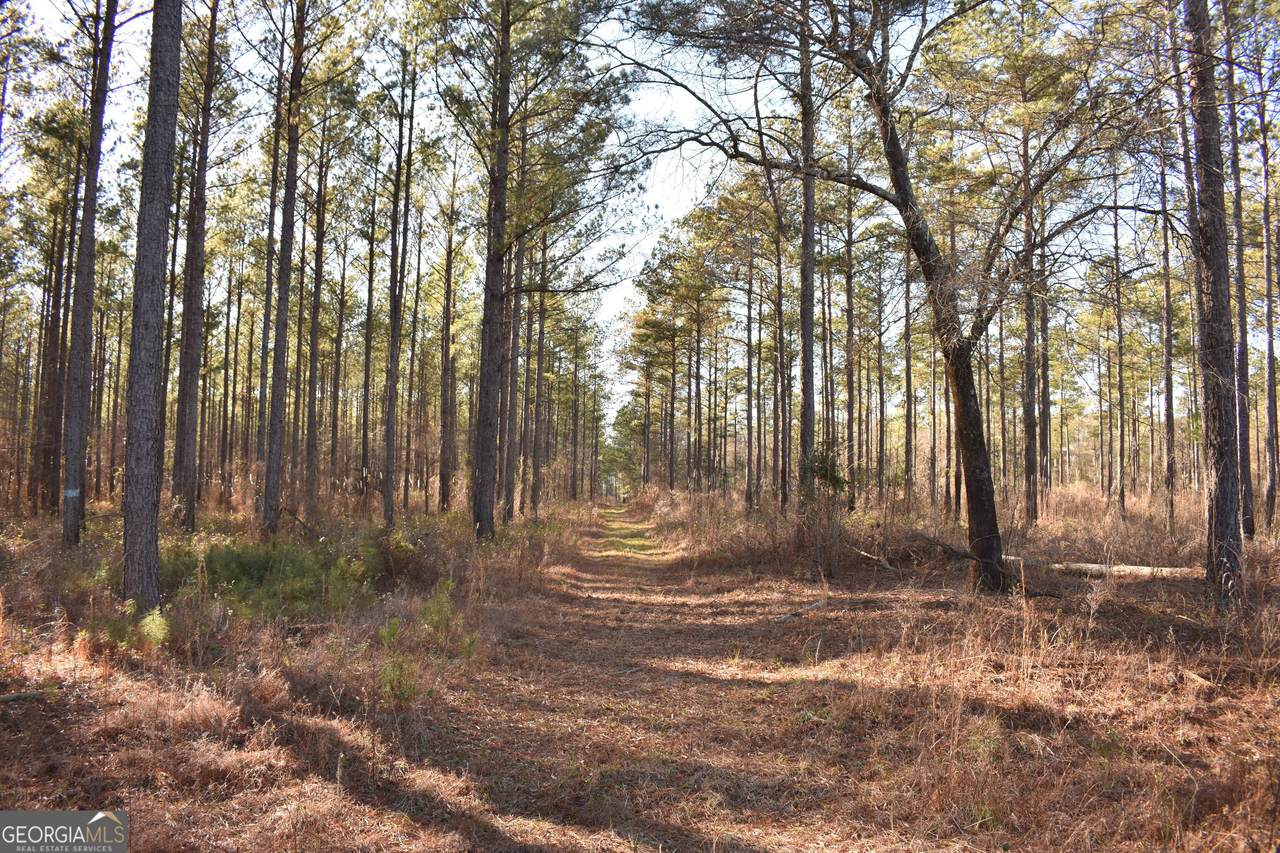 0 Bancroft Road - Photo 1