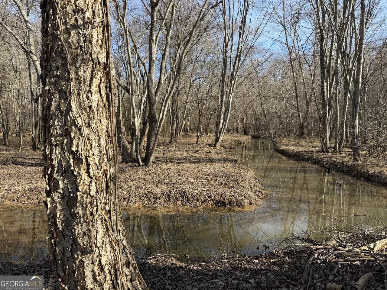 0 Neely Road - Photo 1