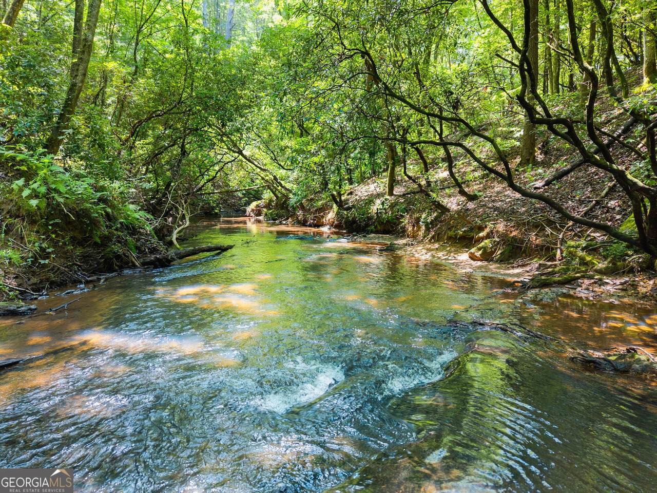 4A 0 Creekside Drive - Photo 1