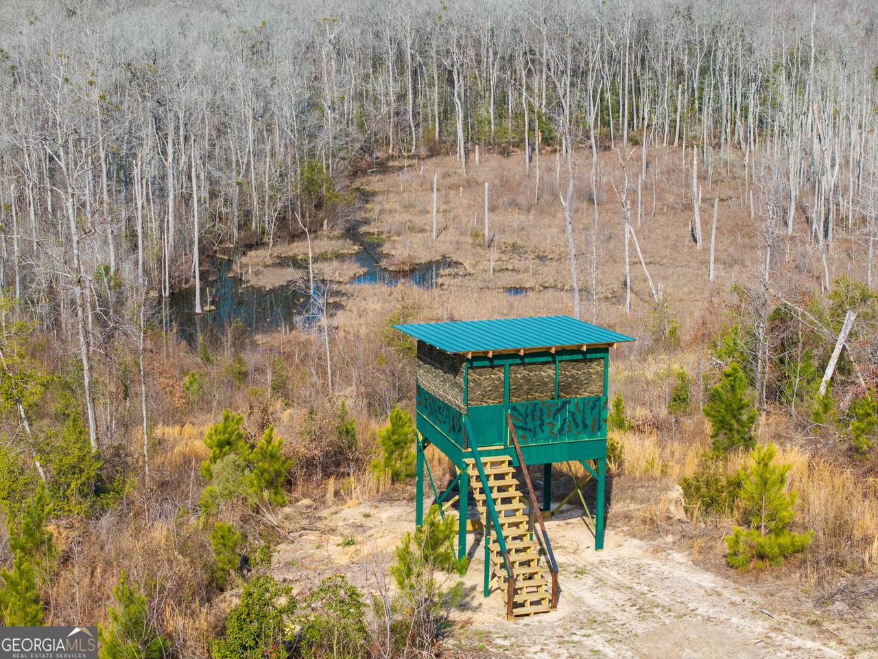 2729 Hadden Pond Road - Photo 1