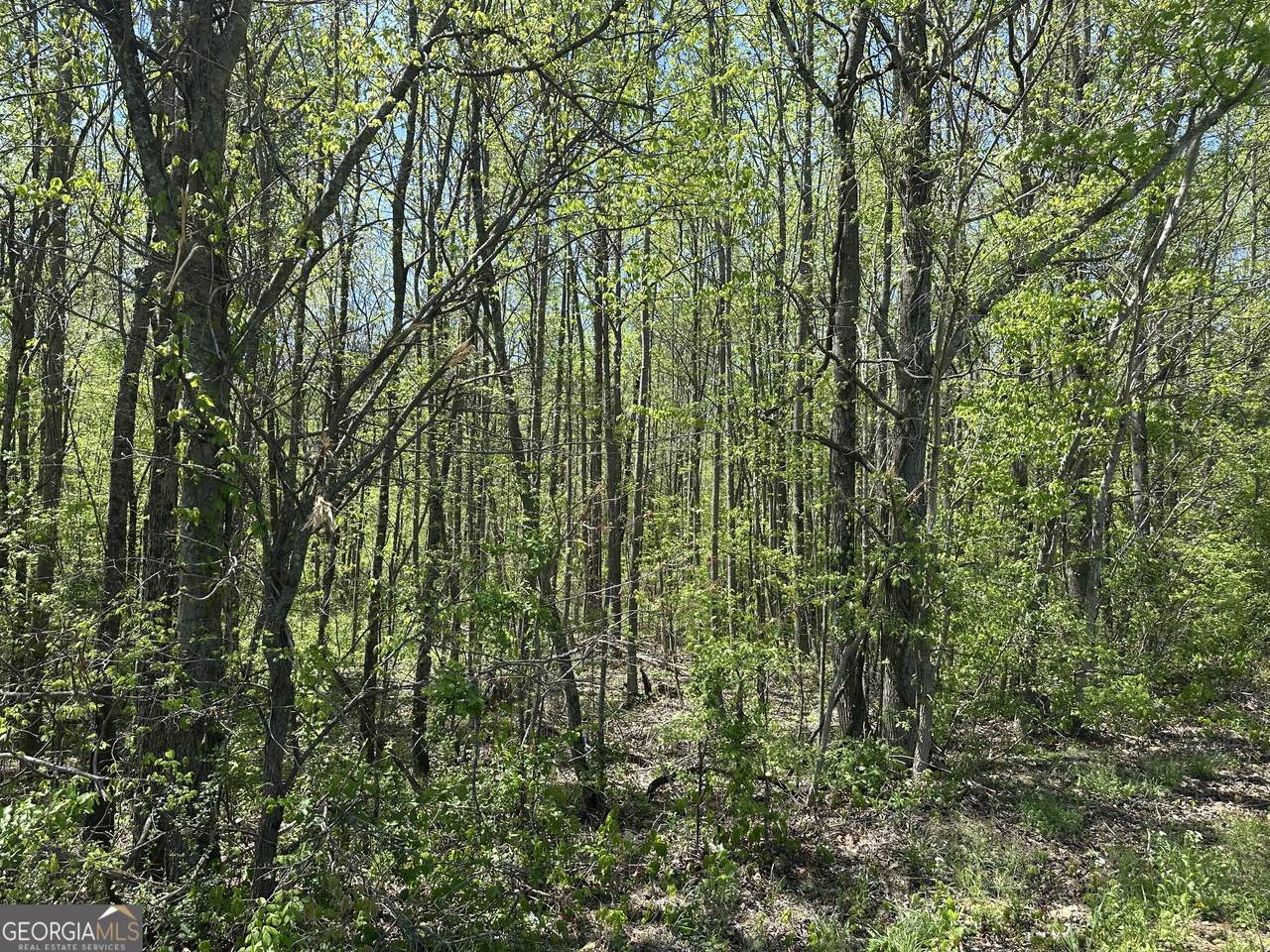 0 N. 411 Highway - Photo 1