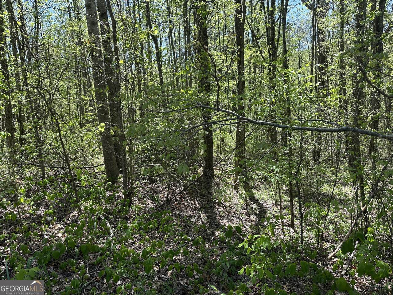 https://bt-photos.global.ssl.fastly.net/gamls/1280_boomver_1_10692072-2.jpg