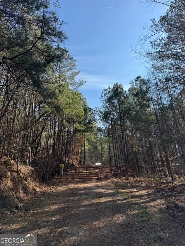 13308 Highway 136 - Photo 1