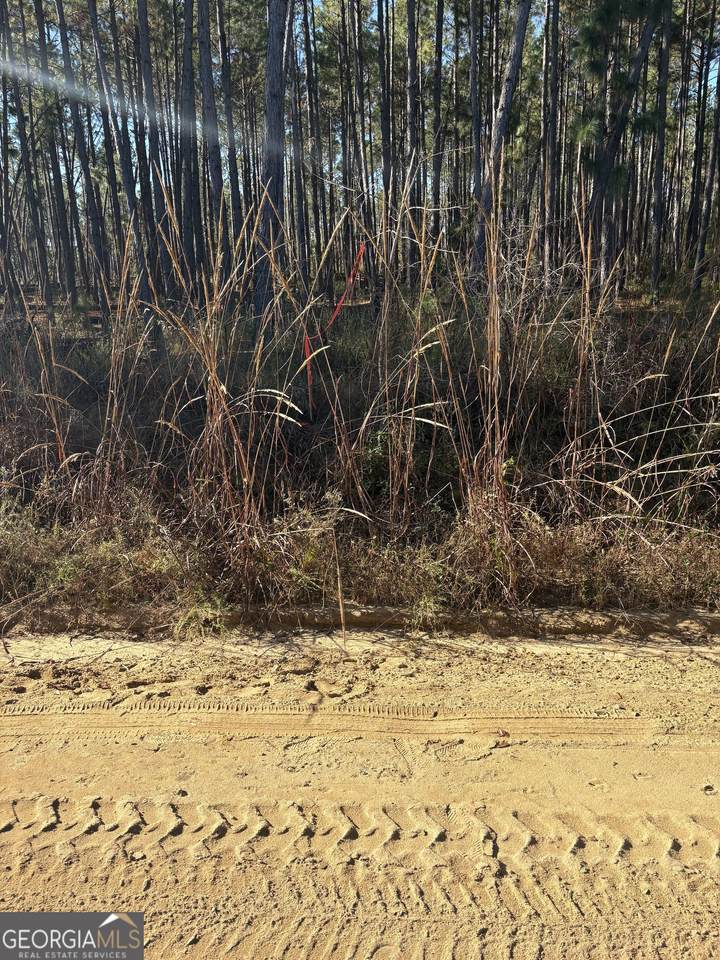 2457 Guy Weatherly Road - Photo 1