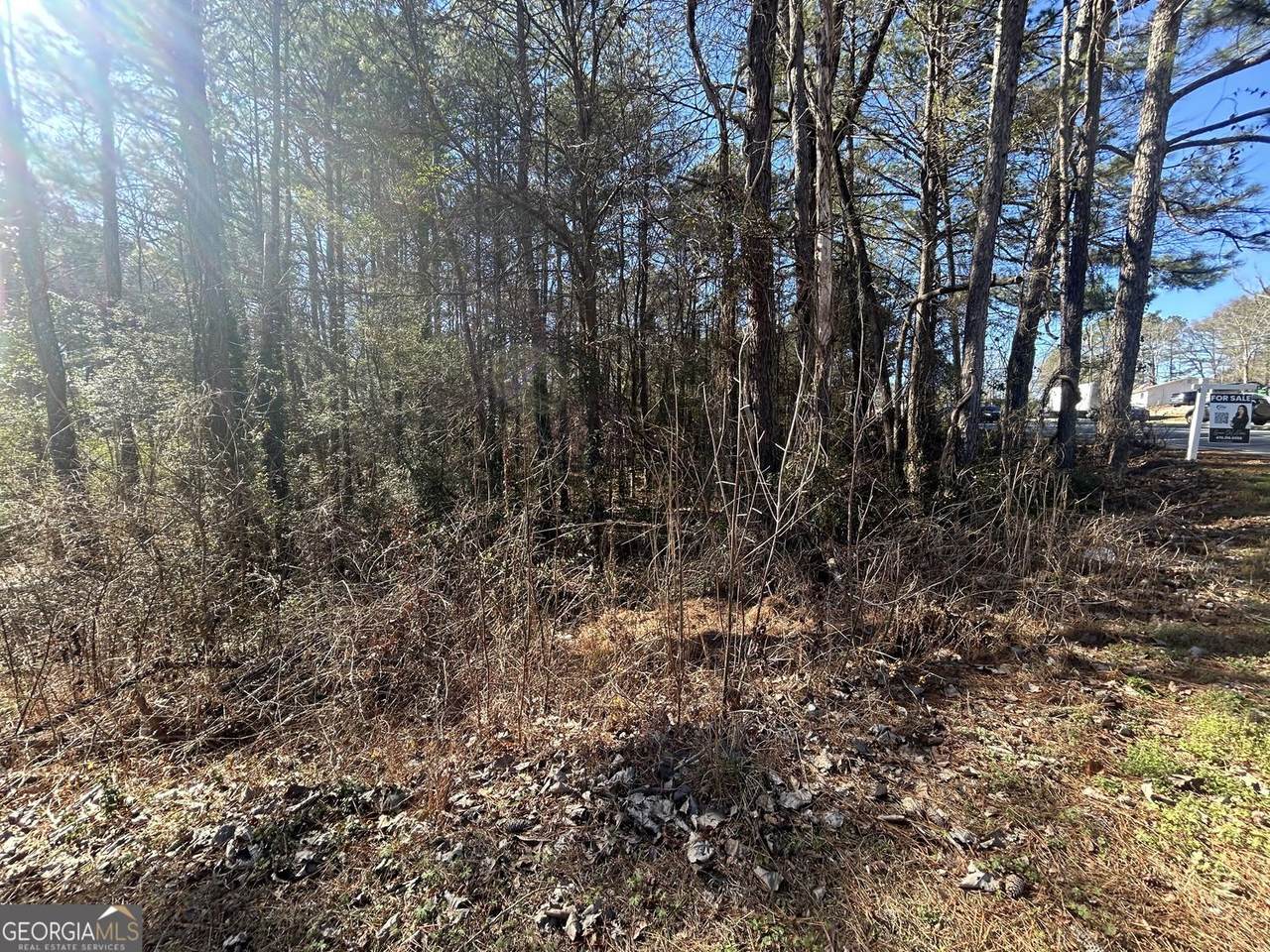 7840 Horseshoe Bend - Photo 1