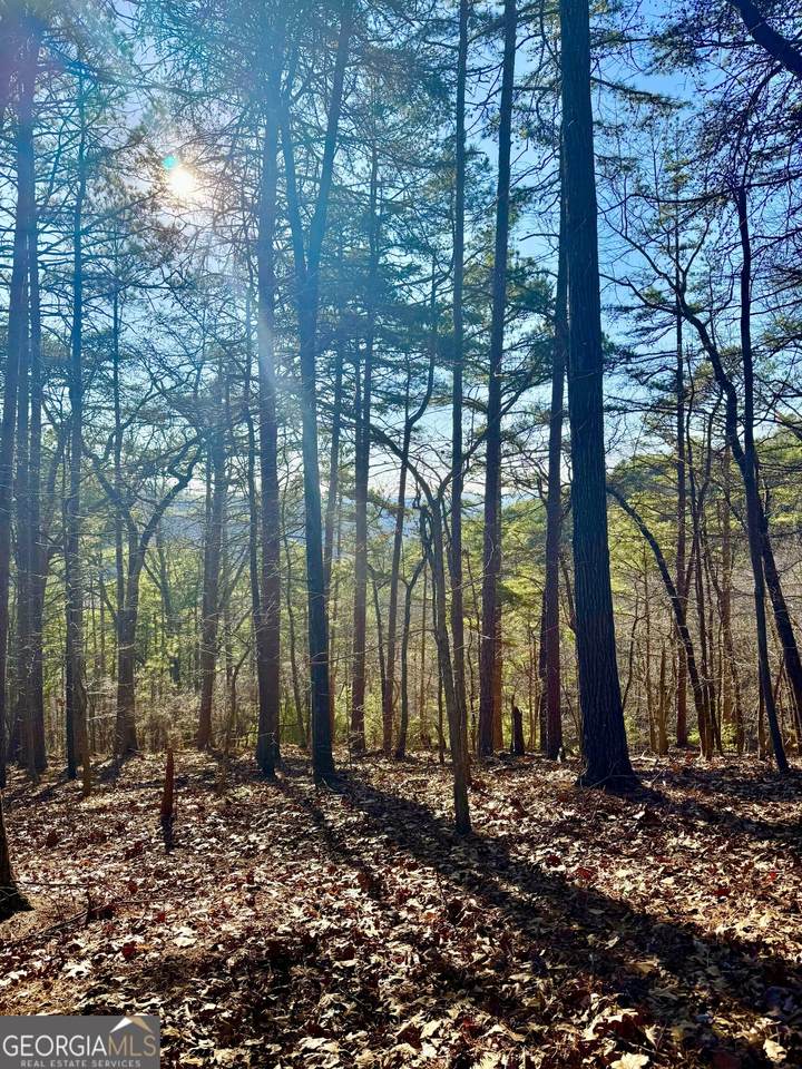 334 Packet Court - Photo 1