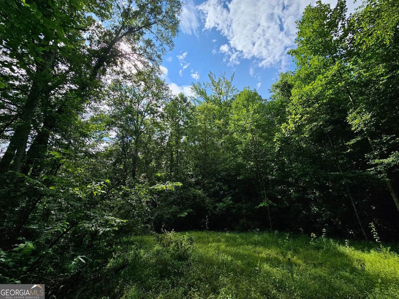 0 Hutcheson Road - Photo 1