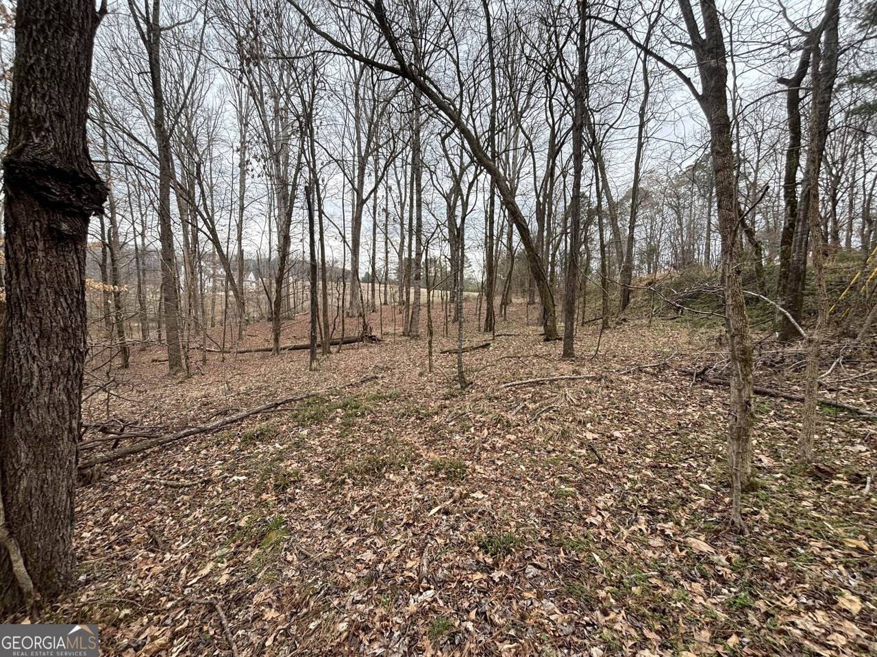 0 Oconee Rd Lot 1 - Photo 1