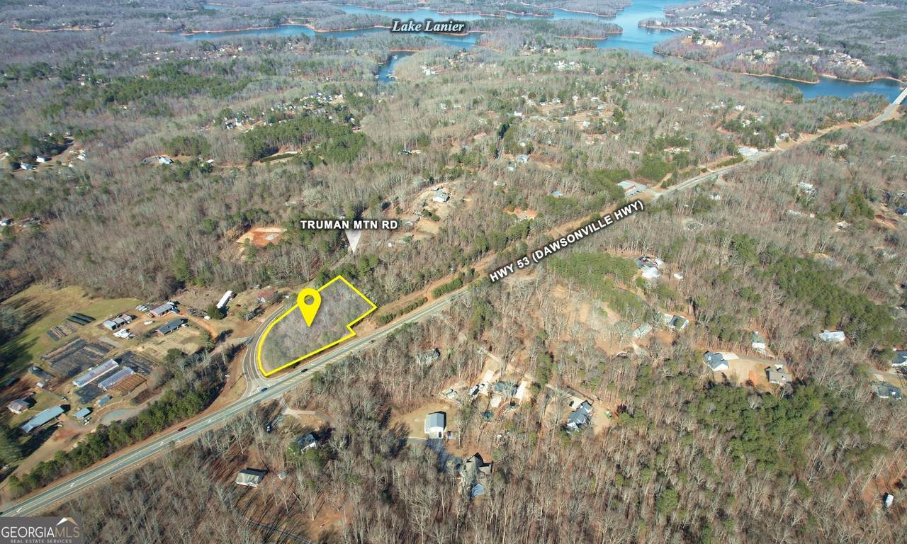 0 Highway 53 & Truman Mountain Road - Photo 1