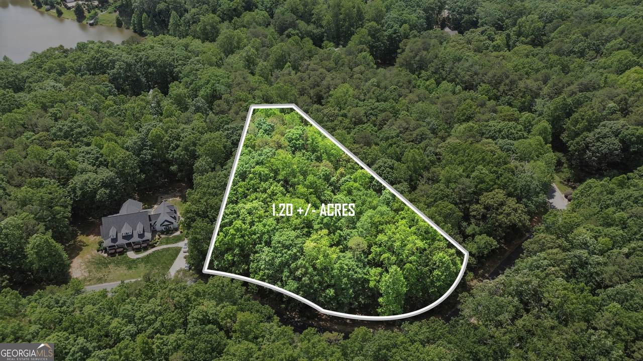 0 Plum Lane - Photo 1