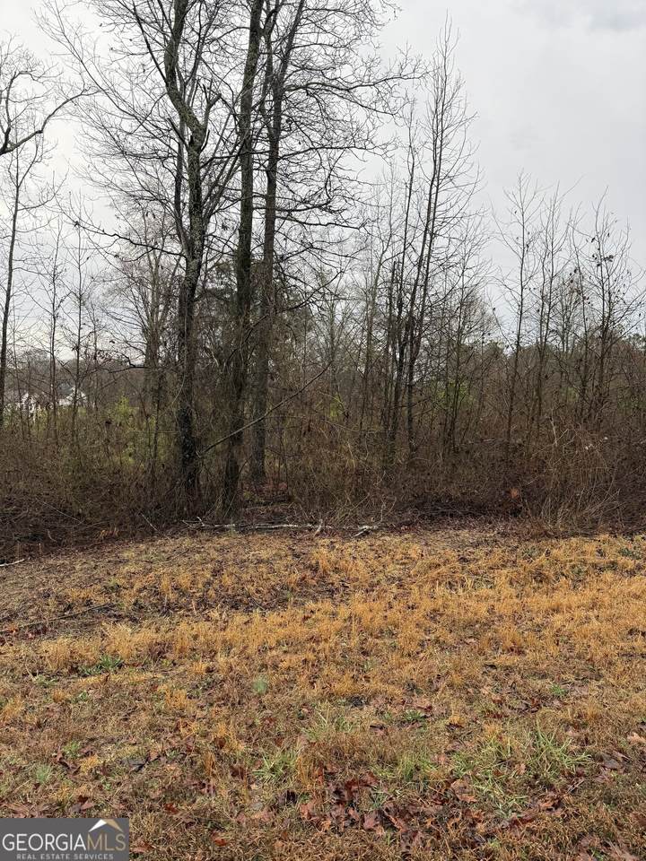 874 Forrester Cemetery Road - Photo 1