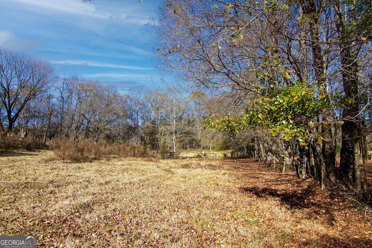 TRACT 2 - 0 St. Paul Church Road - Photo 1