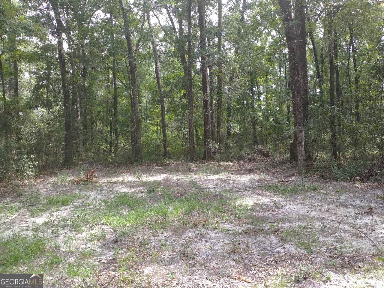 1046 Harmony Hill Lane - Photo 1