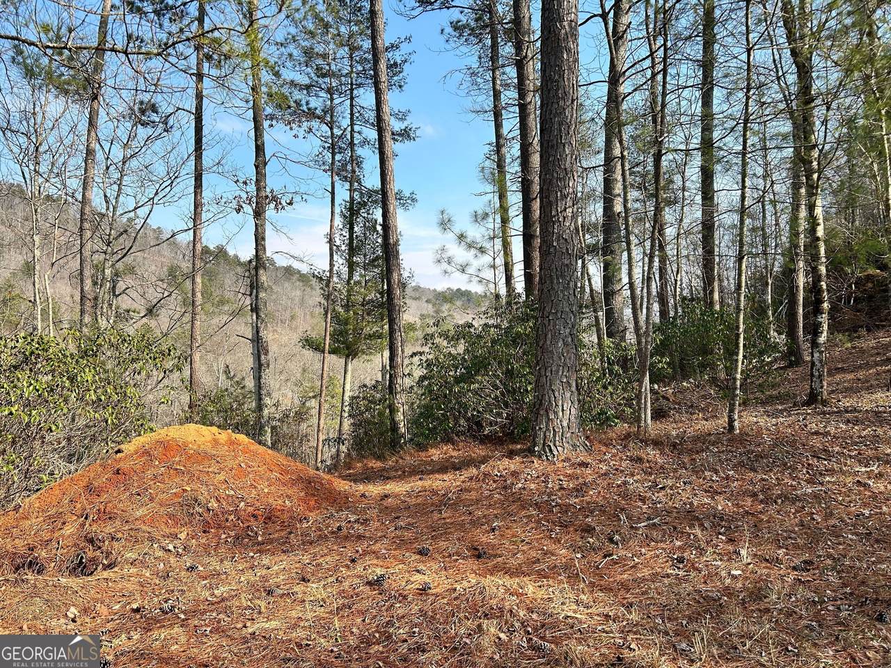 https://bt-photos.global.ssl.fastly.net/gamls/1280_boomver_1_10700182-2.jpg