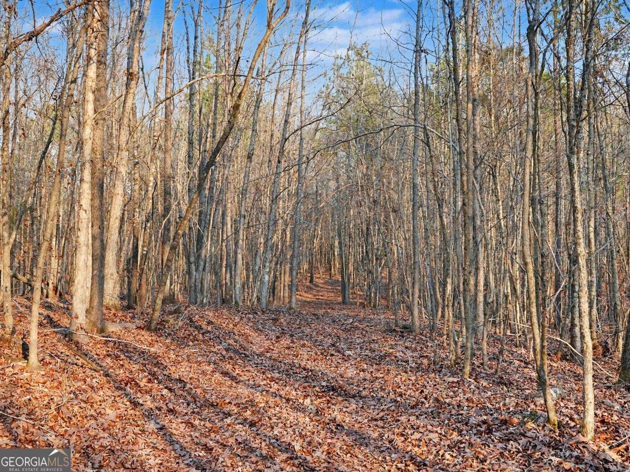 https://bt-photos.global.ssl.fastly.net/gamls/1280_boomver_1_10700247-2.jpg