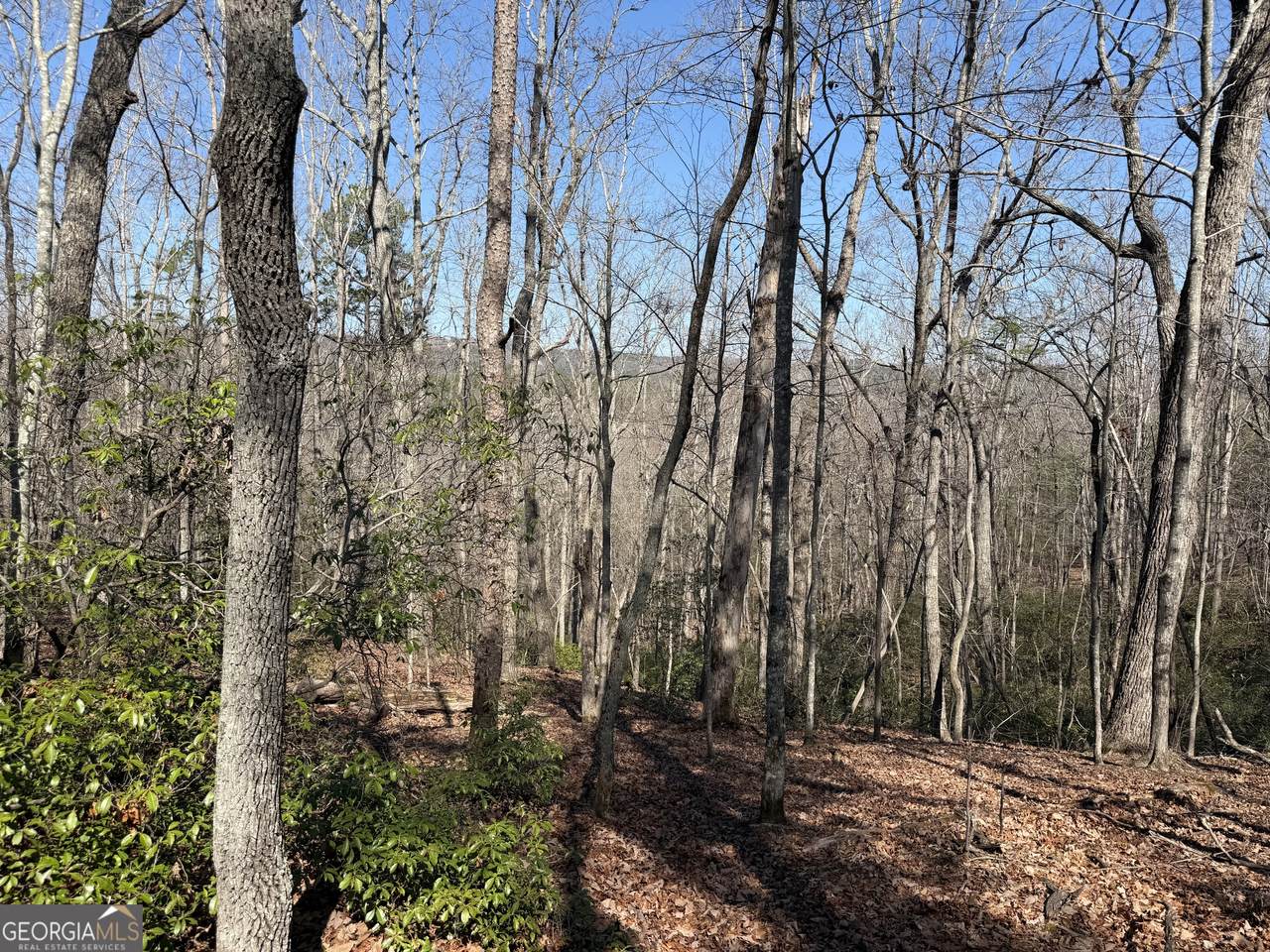 0 Tanager Trail - Photo 1