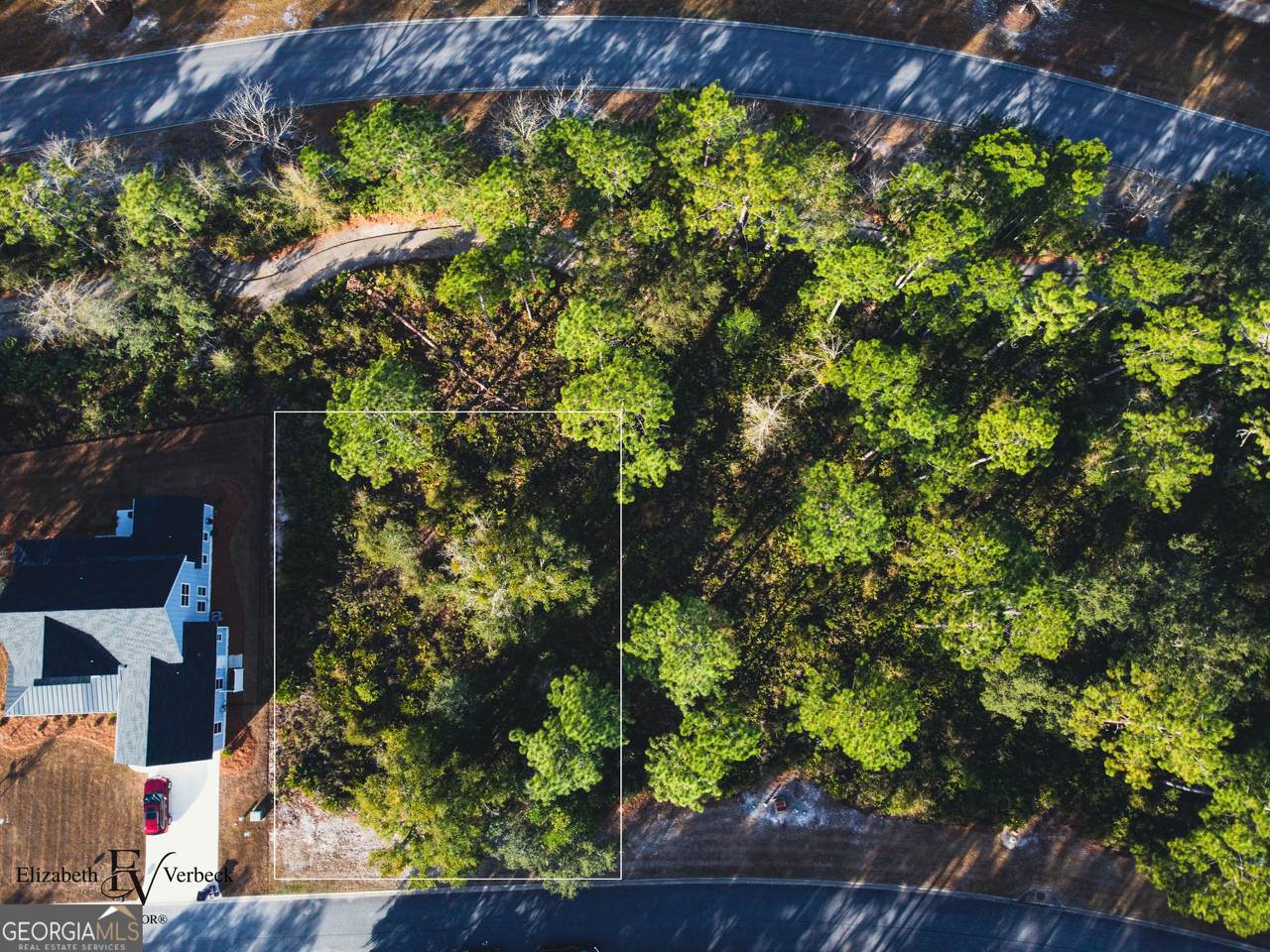 490 Blue Heron Trail - Photo 1