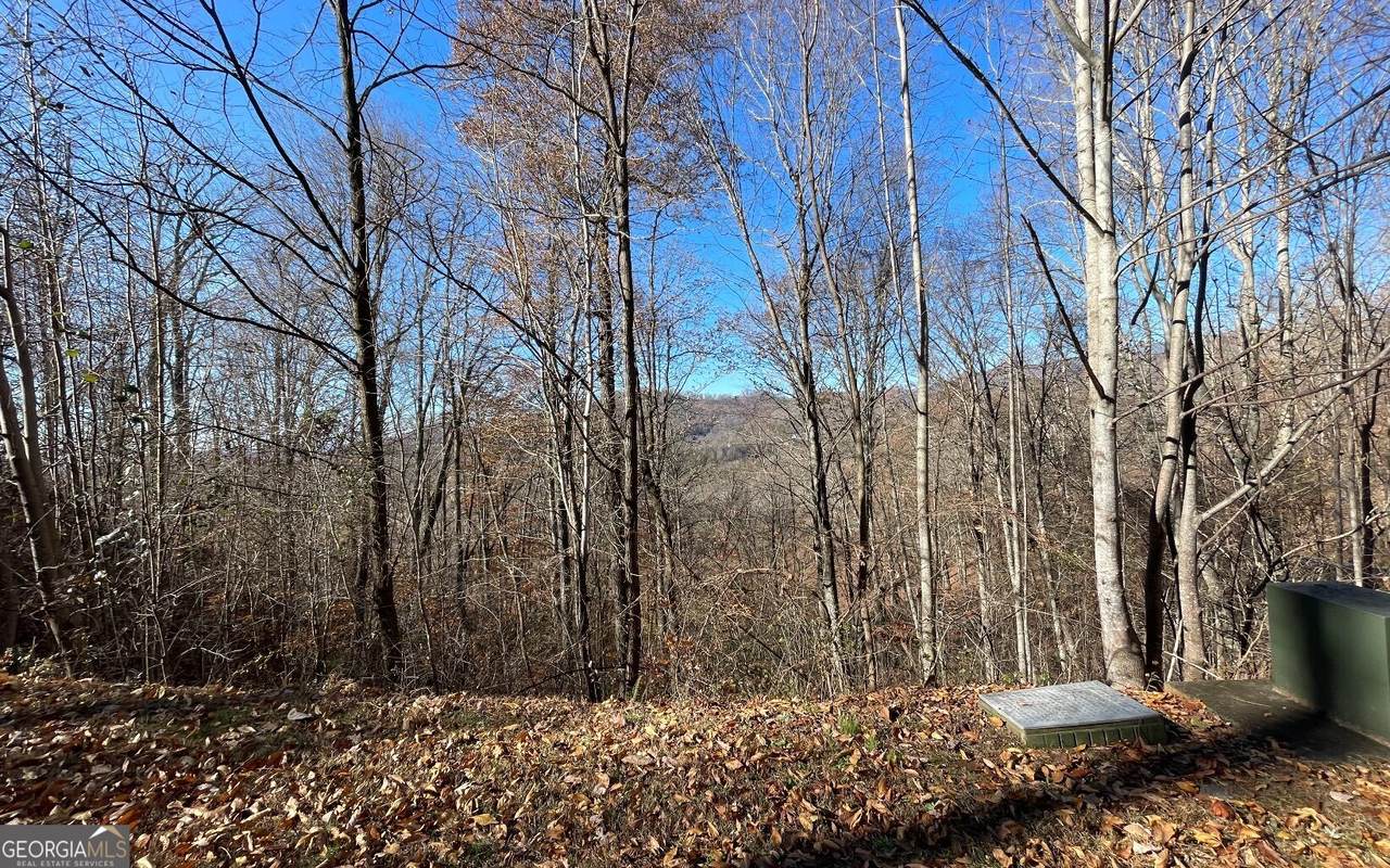 LOT 36M Mountain Harbour - Photo 1
