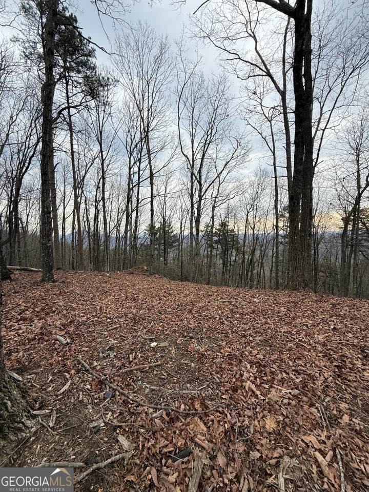 LOT 8 Westmoreland Road - Photo 1