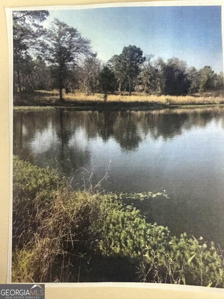 0 Henry-Mimbs - Photo 1