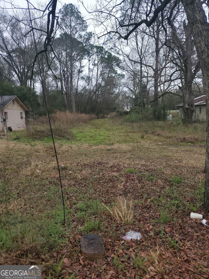 301 Shipp Lane - Photo 1