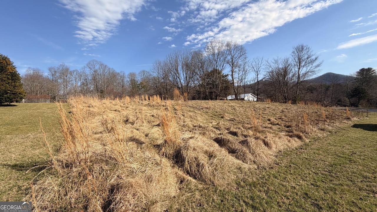 2402 Little John Lane - Photo 1