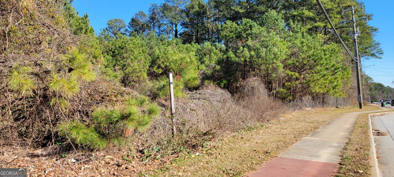 1002 Rockbridge Road - Photo 1