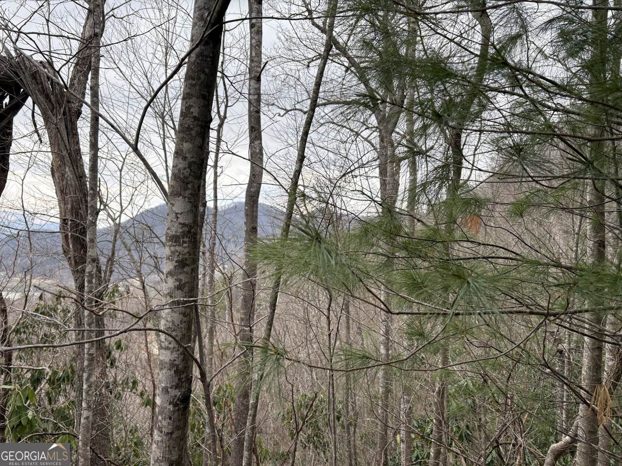 https://bt-photos.global.ssl.fastly.net/gamls/1280_boomver_1_10703234-2.jpg