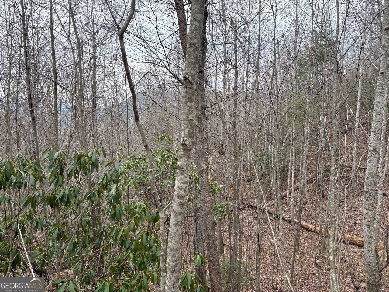 https://bt-photos.global.ssl.fastly.net/gamls/1280_boomver_1_10703234-2.jpg