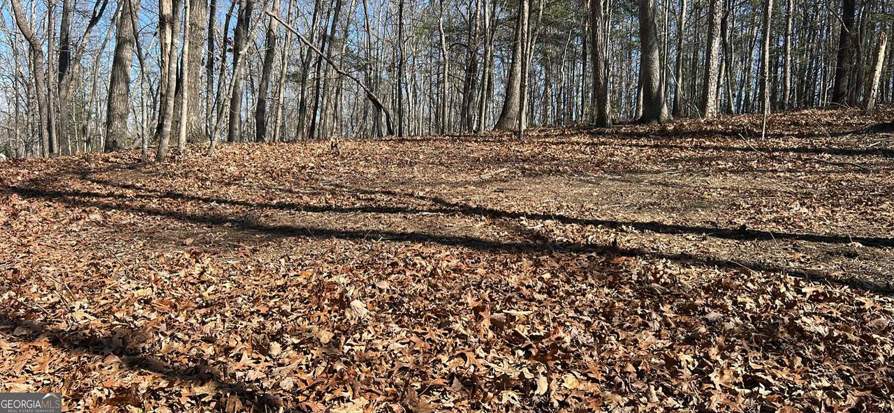 7 Ivy Hills Drive - Photo 1