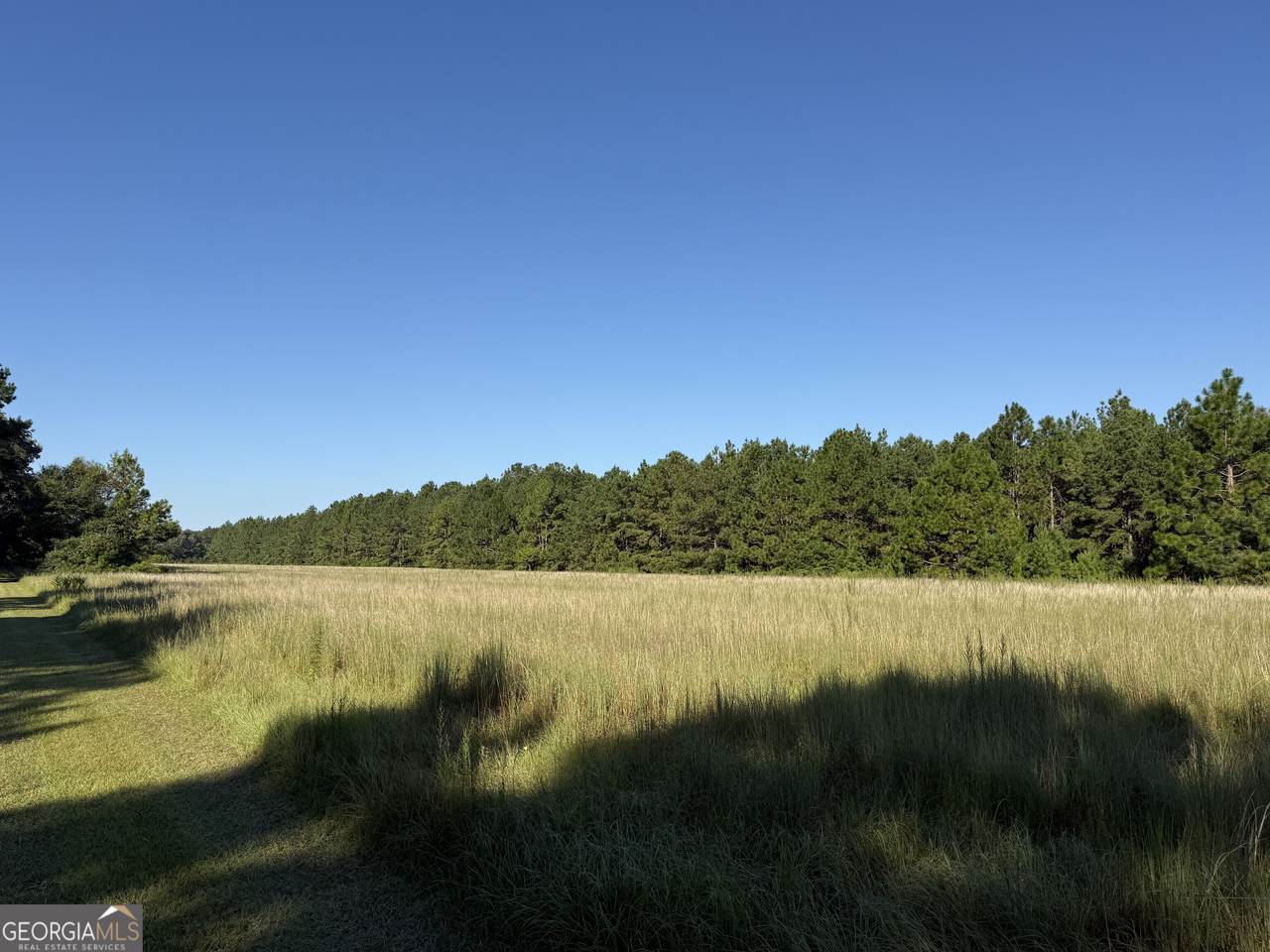 https://bt-photos.global.ssl.fastly.net/gamls/1280_boomver_1_10704175-2.jpg