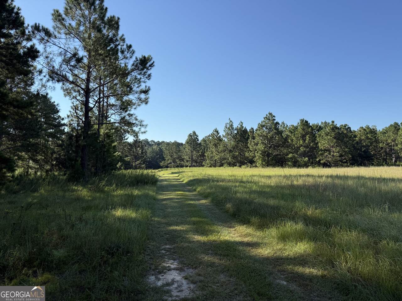 https://bt-photos.global.ssl.fastly.net/gamls/1280_boomver_1_10704175-2.jpg