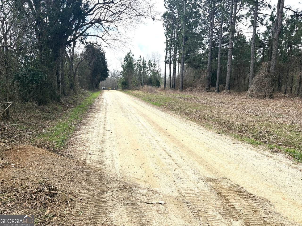 L1 Keysville-Boggs Academy Road - Photo 1