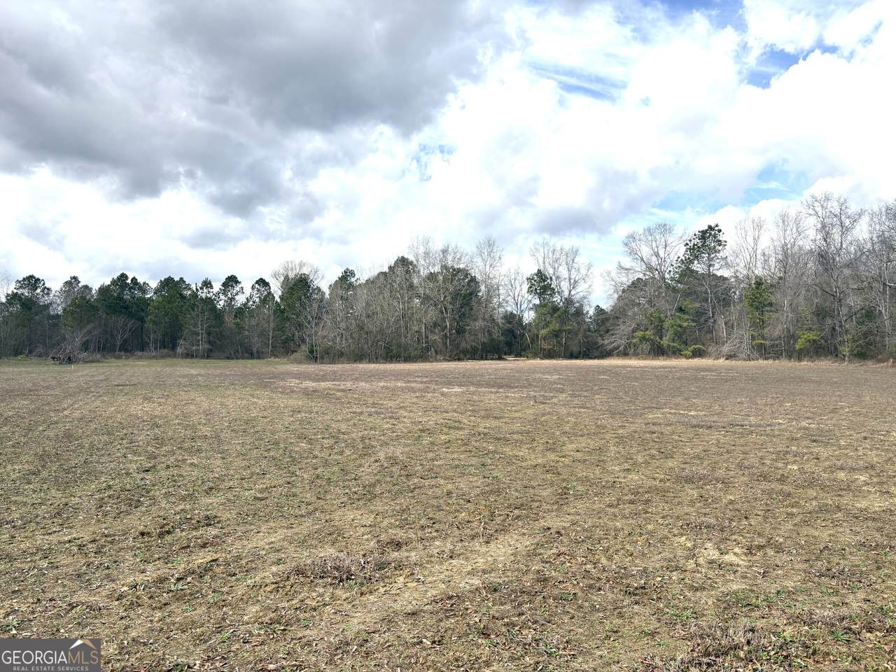 L4 Keysville-Boggs Academy Road - Photo 1