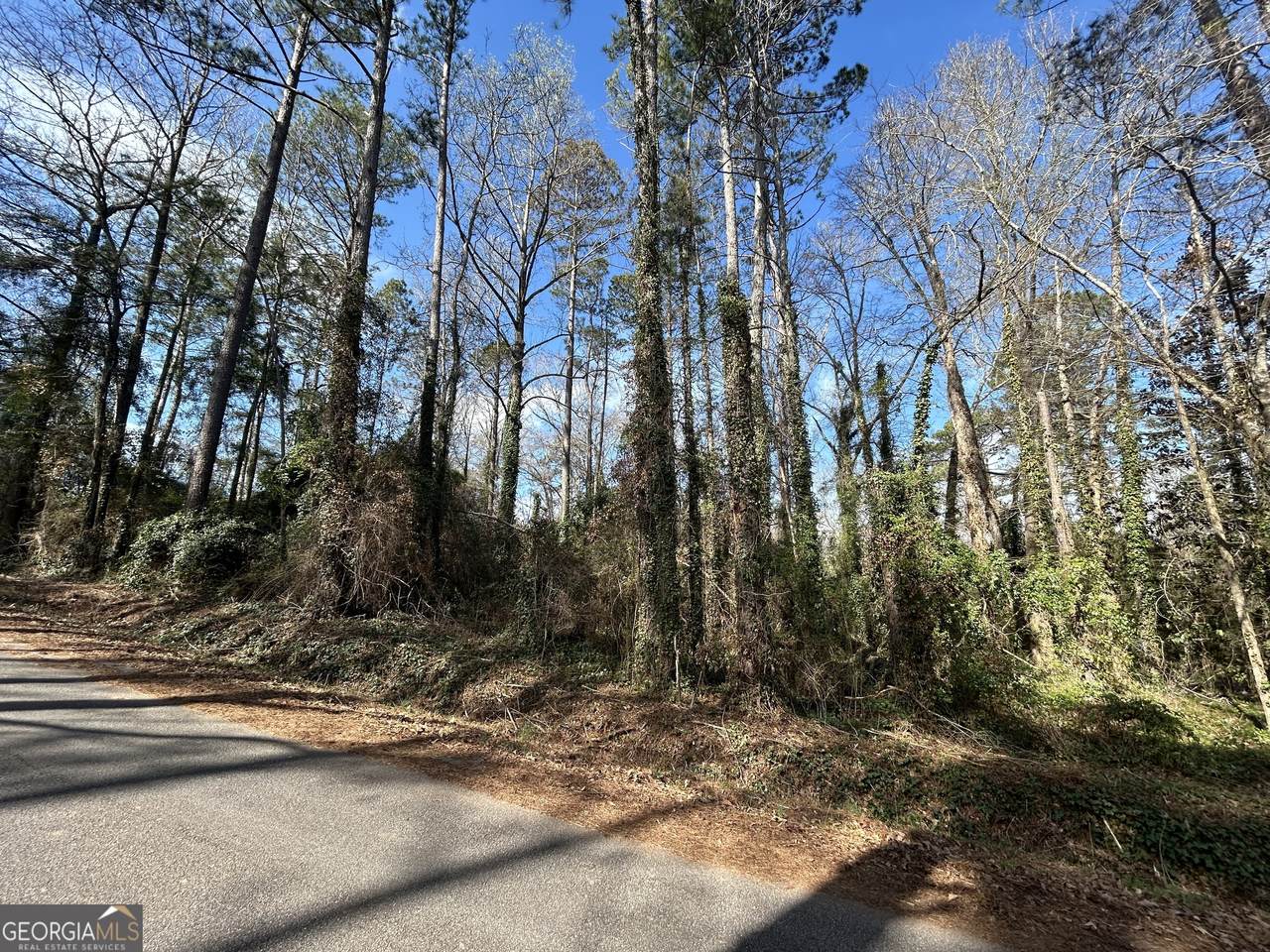 0 Samples Road - Photo 1