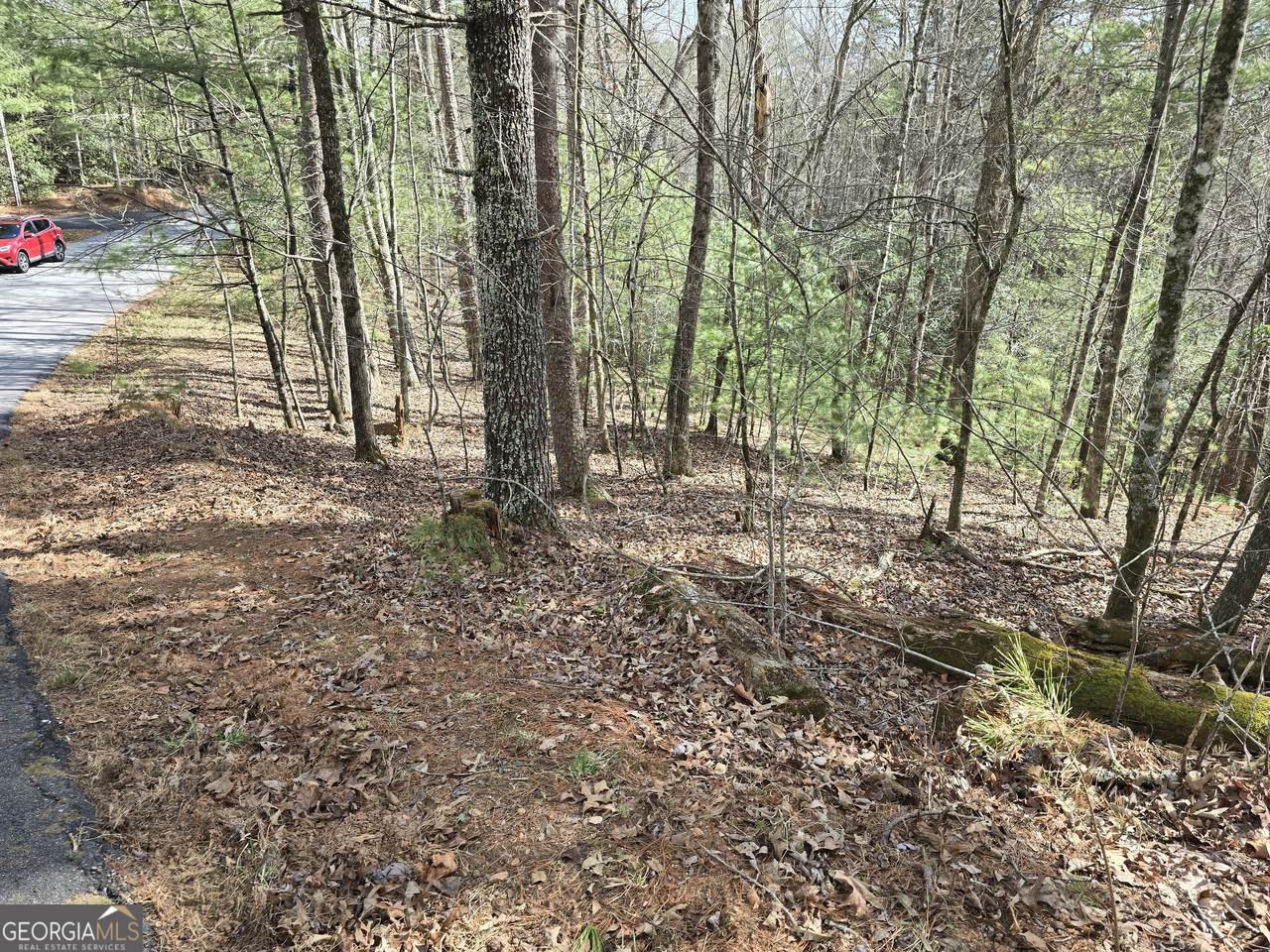 13L Sautee Trail - Photo 1