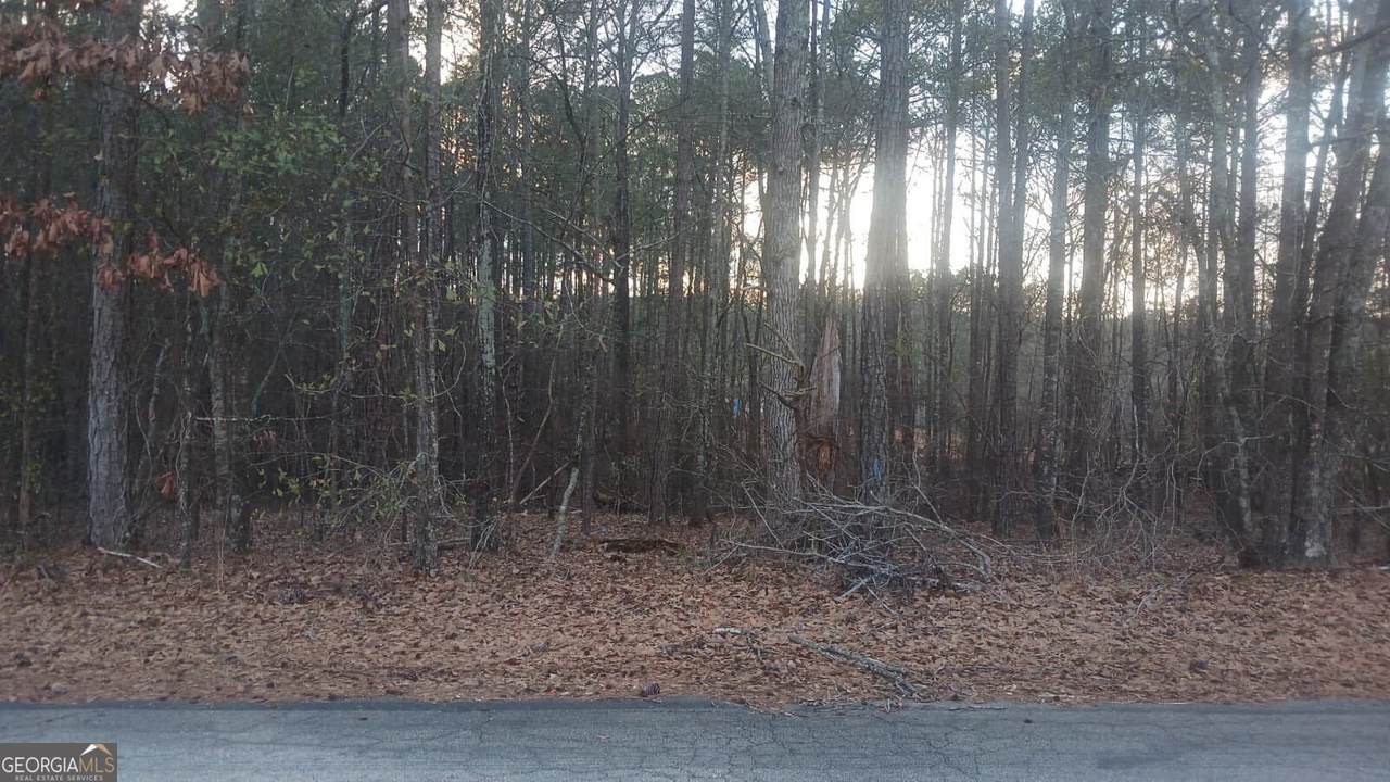 120 Harville Road - Photo 1