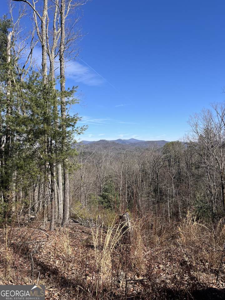 0 Eastman Mtn Road - Photo 1