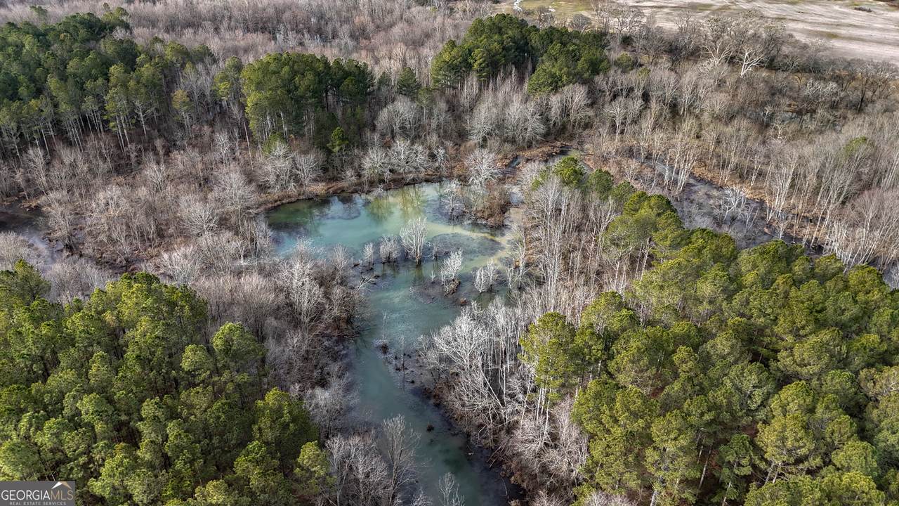 557 Acres On Taliaferro Springs Road - Photo 1