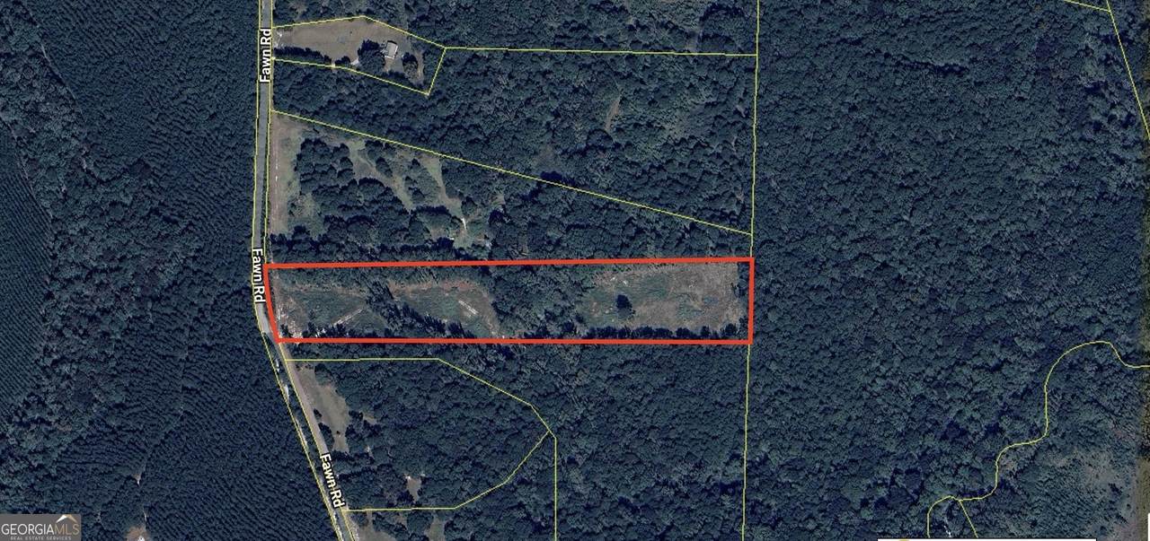 343 Fawn Road - Photo 1