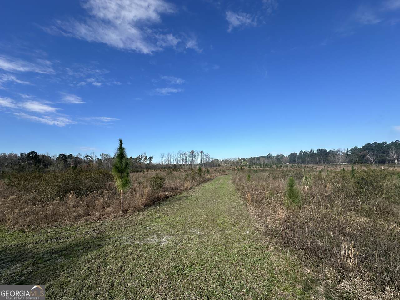 1334 Shady Lane - Photo 1