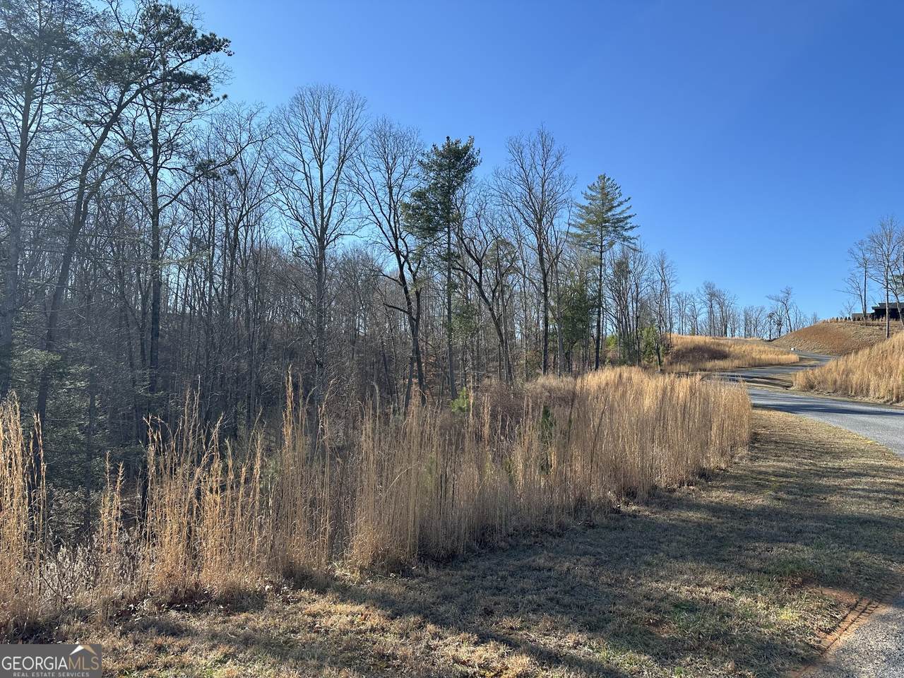 77 River Overlook Lane - Photo 1