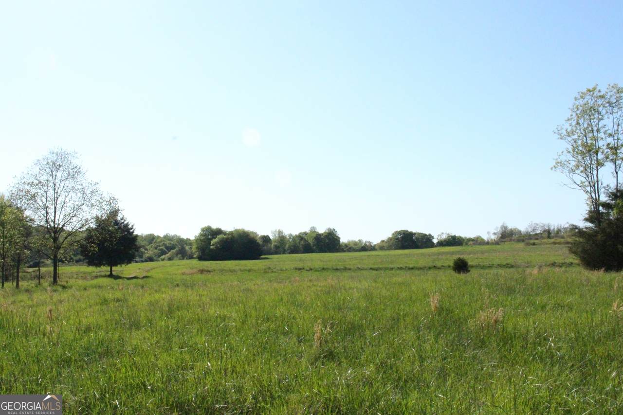 1695 Spring Valley Road - Photo 1