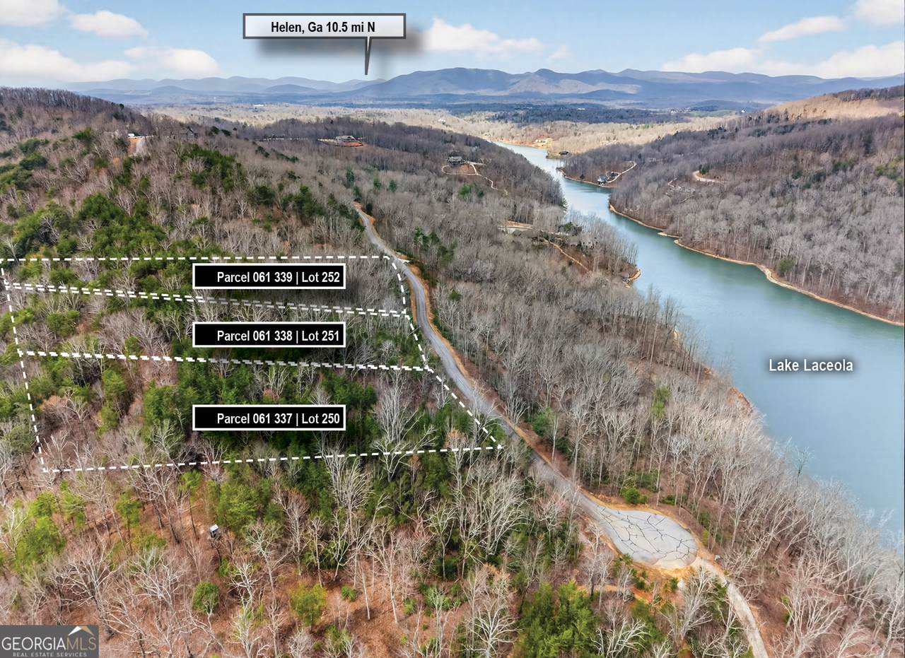 252 Laceola Road - Photo 1