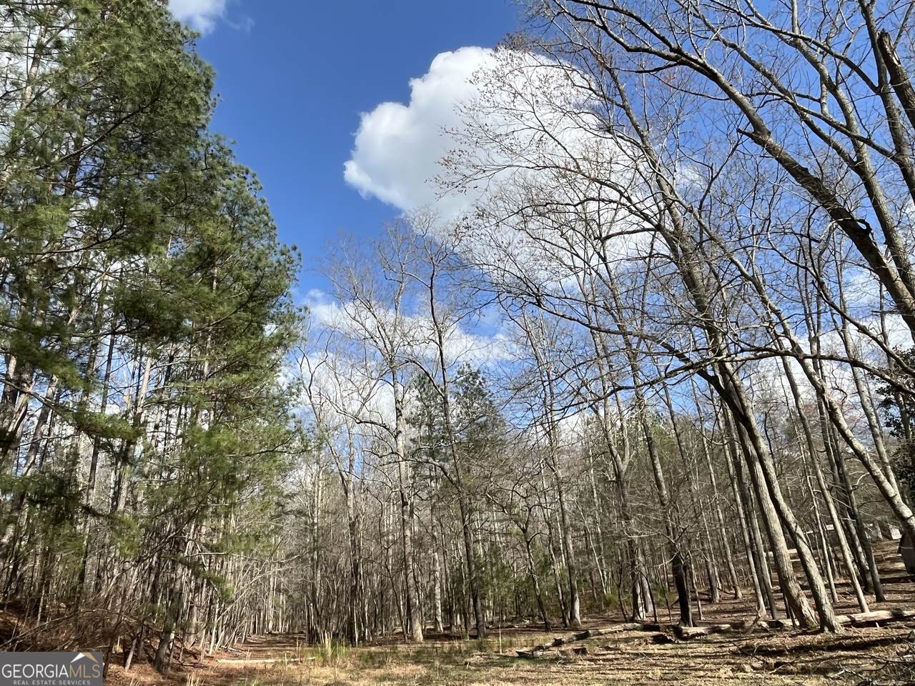 4360 Pool Road - Photo 1