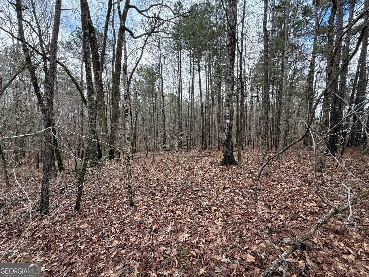 https://bt-photos.global.ssl.fastly.net/gamls/1280_boomver_1_10708718-2.jpg