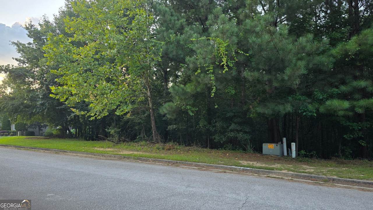 1628 Norris Landing Drive - Photo 1