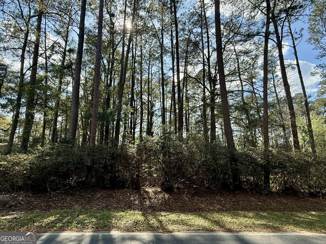 0 Columbia Avenue - Photo 1