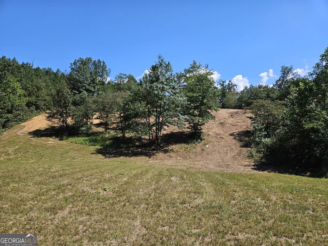 0 Maple Grove Church Road - Photo 1