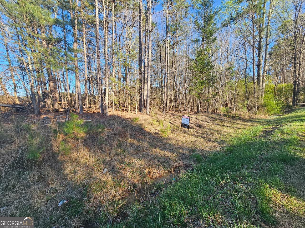0 Lake Point Road - Photo 1